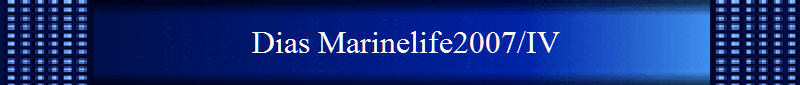 Dias Marinelife2007/IV