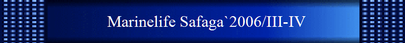Marinelife Safaga`2006/III-IV