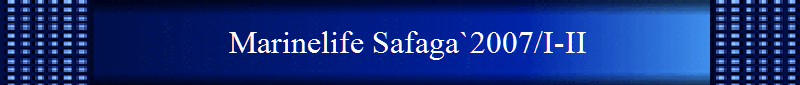 Marinelife Safaga`2007/I-II