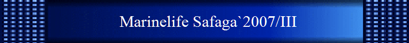 Marinelife Safaga`2007/III