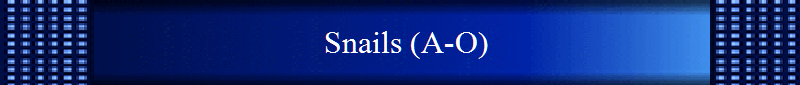Snails (A-O)