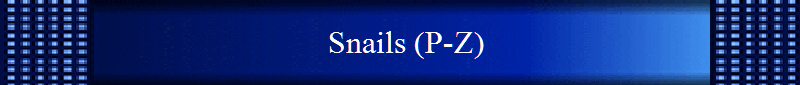 Snails (P-Z)