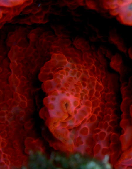 0409-1 (14)