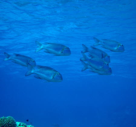 ACIMG1088