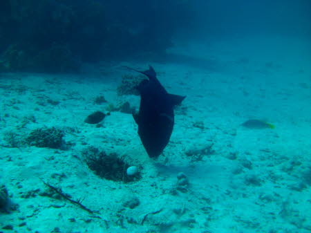 ArchivBild (2)