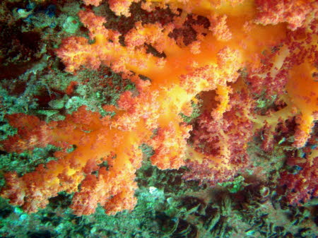 Bildx (30)