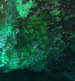 CIMG0300a