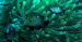 CIMG0612a