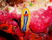 Chromodoris quadricolor yCIMG5214