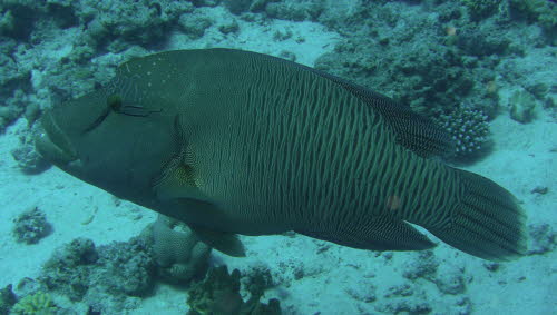 aCIMG0014