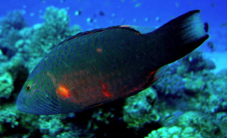 aCIMG0572