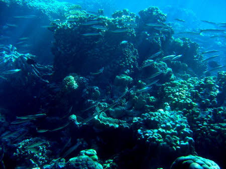 aCIMG0753