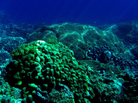 aCIMG0766