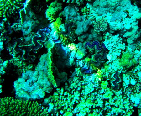 aCIMG0788