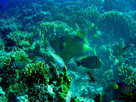 aCIMG0871