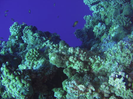 aCIMG1864