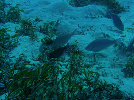 aCIMG2360