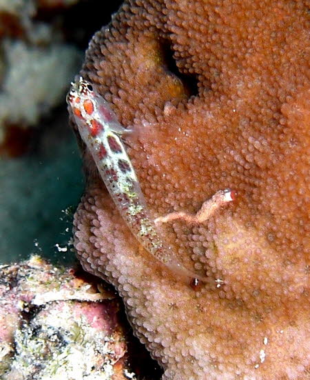 aCIMG3574