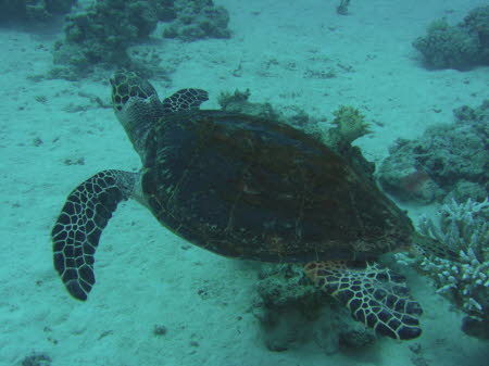 aCIMG3585