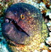 aCIMG3602b