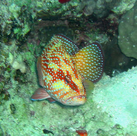 aCIMG3641