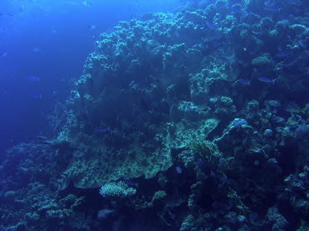 aCIMG3742