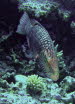 aCIMG3746