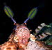 aCIMG3810