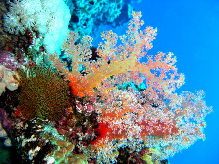 aCIMG3958