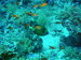 aCIMG3975