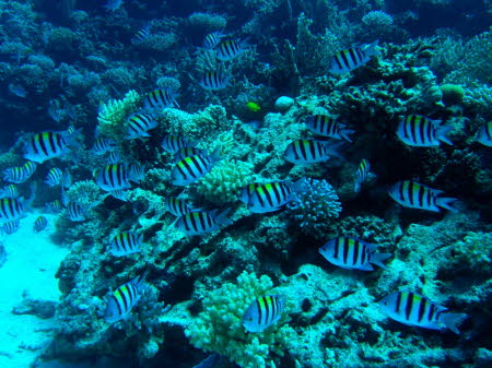 aCIMG4315