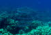 aCIMG4379