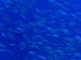 aCIMG5047