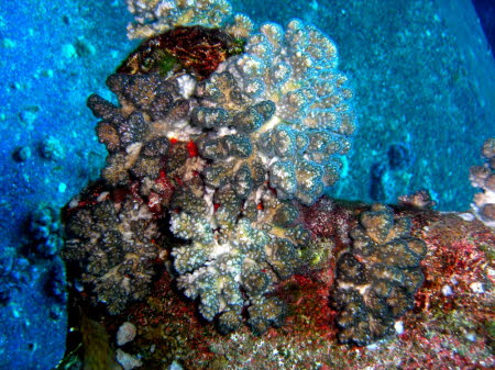 aCIMG6630