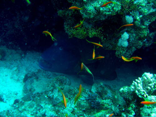 aCIMG7592