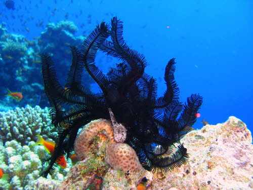 aCIMG8611