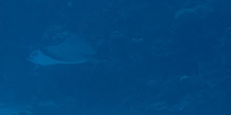 aCIMG8616