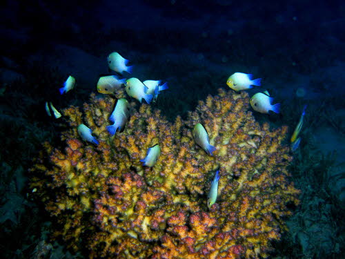 aCIMG8823