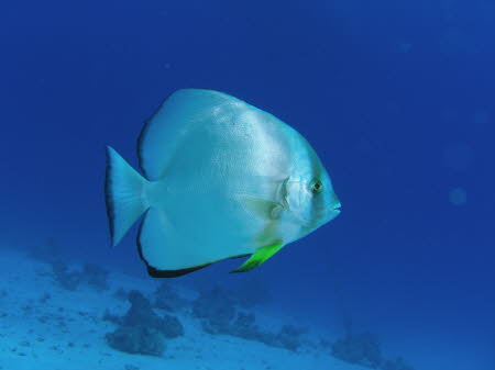 aCIMG9565