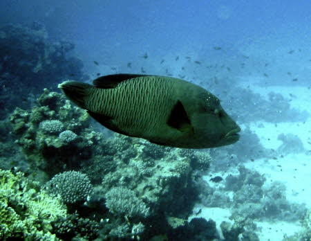 aCIMG9813